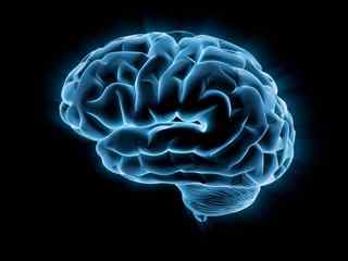 蓝色发光大脑屏保-Brain2