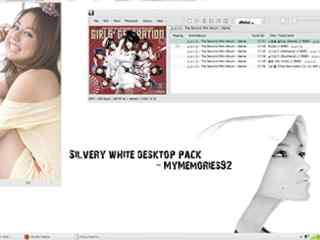 灰白时尚主题 -Silvery White Desktop Pack