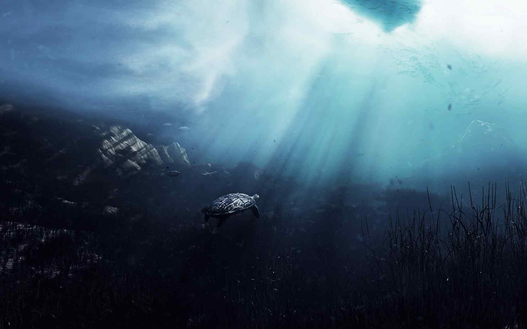 海底深处向着阳光的海龟壁纸（by Smattila）