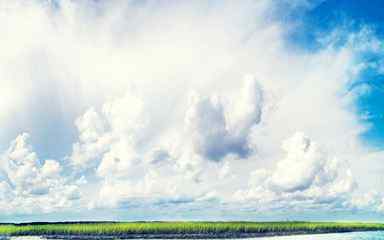 蓝天白云下的沼泽