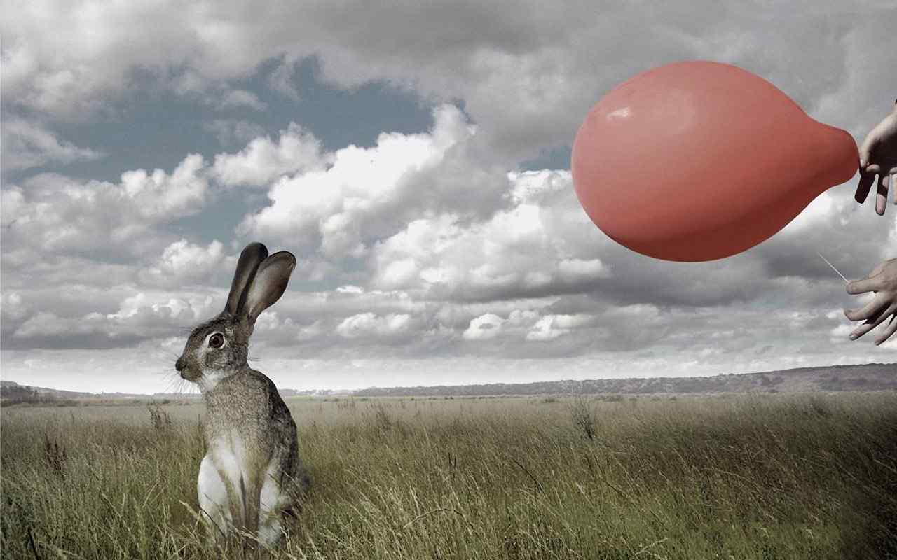 兔子与红气球高清电脑壁纸