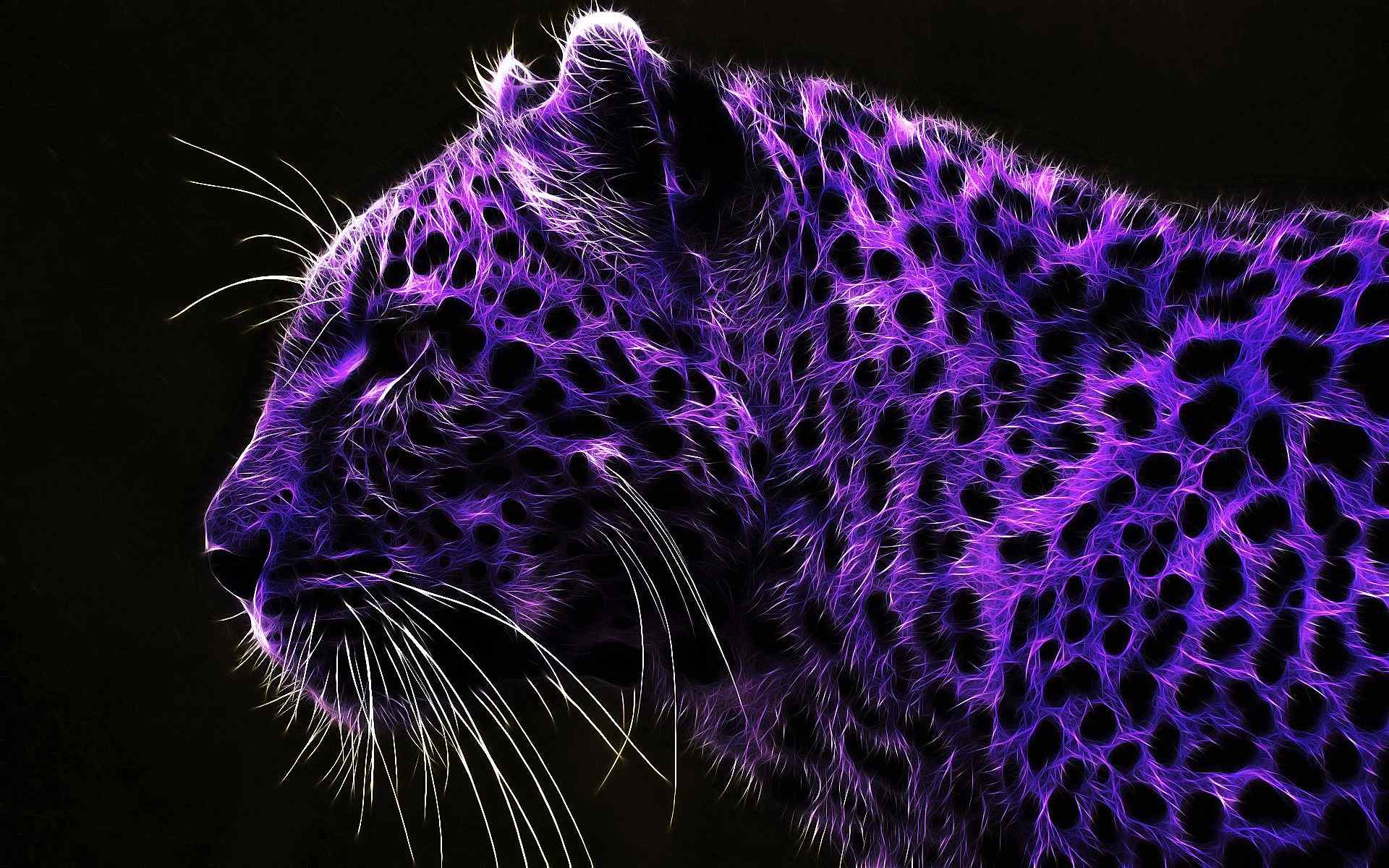 紫色豹子高清壁纸
