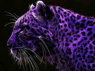 紫色豹子高清壁纸