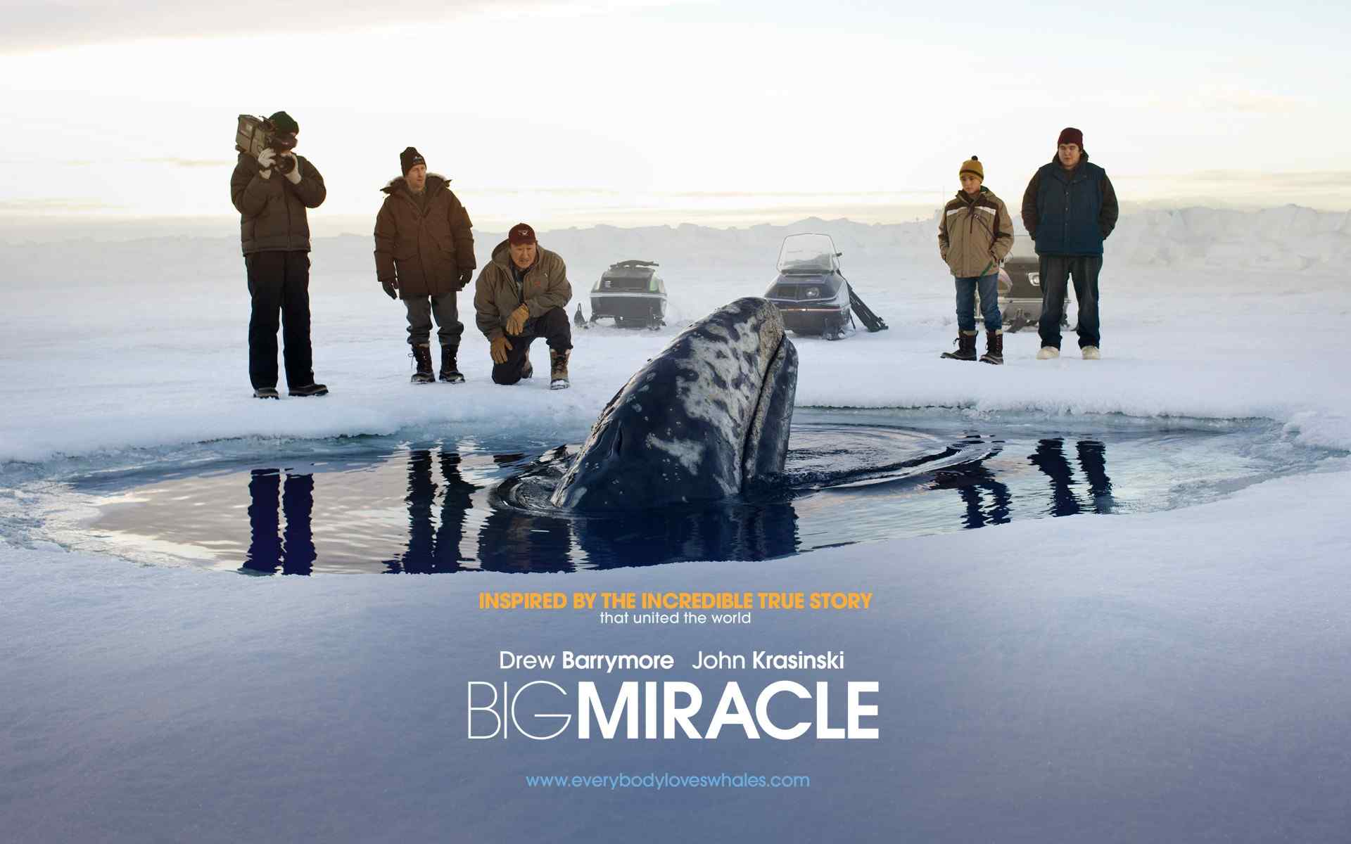 《巨大奇迹 Big Miracle》电影高清宽屏壁纸