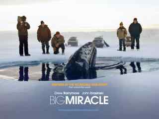 《巨大奇迹 Big Miracle》电影高清宽屏壁纸