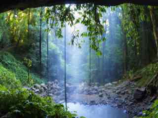 热带雨林丛林冒险桌面壁纸