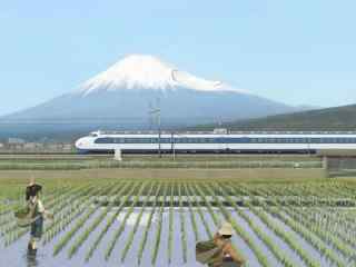 富士山下的水田插