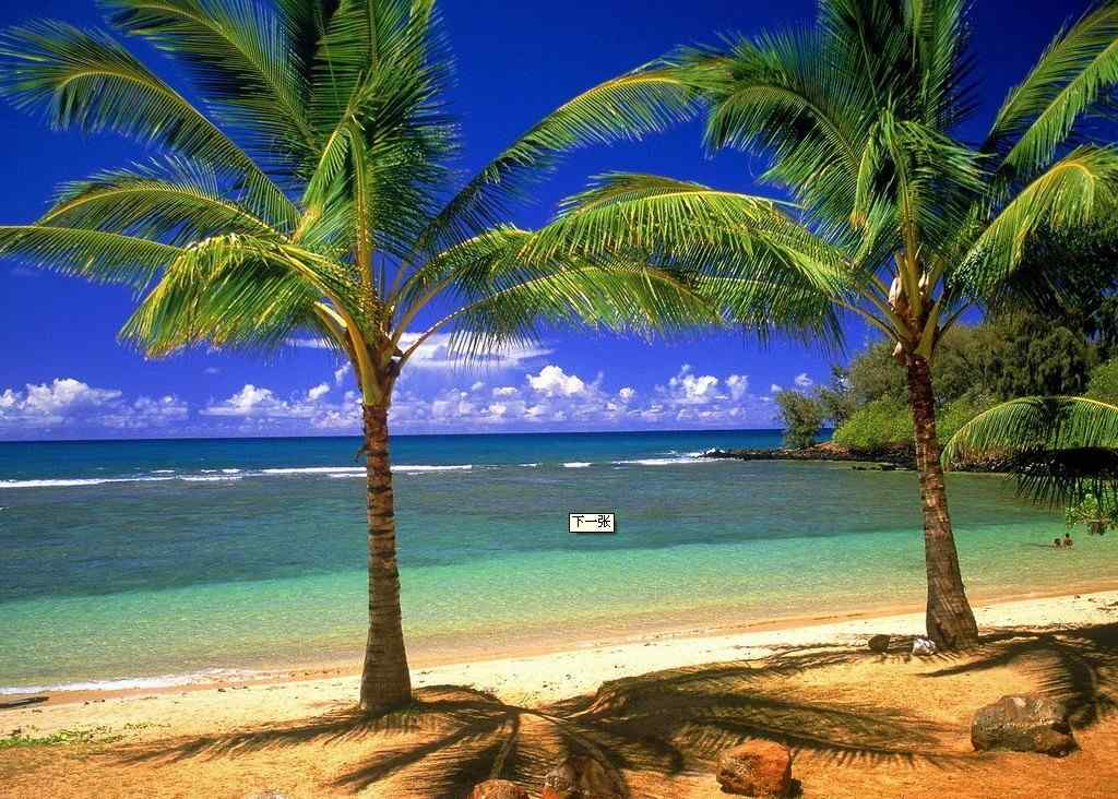椰子树之海边风景电脑桌面壁纸