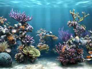 水族动态桌面壁纸之海底世界