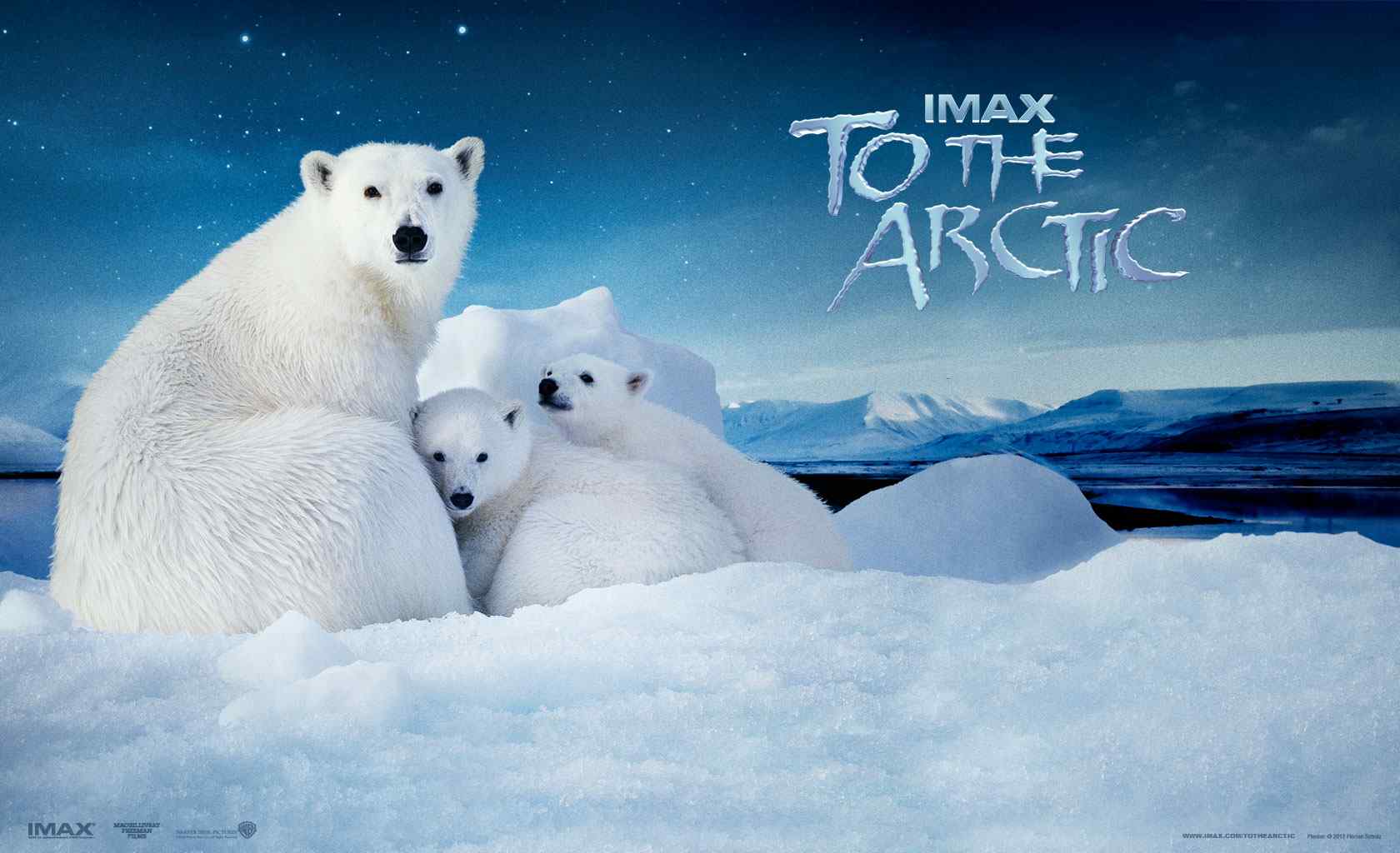 电影到北极去官方宣传海报