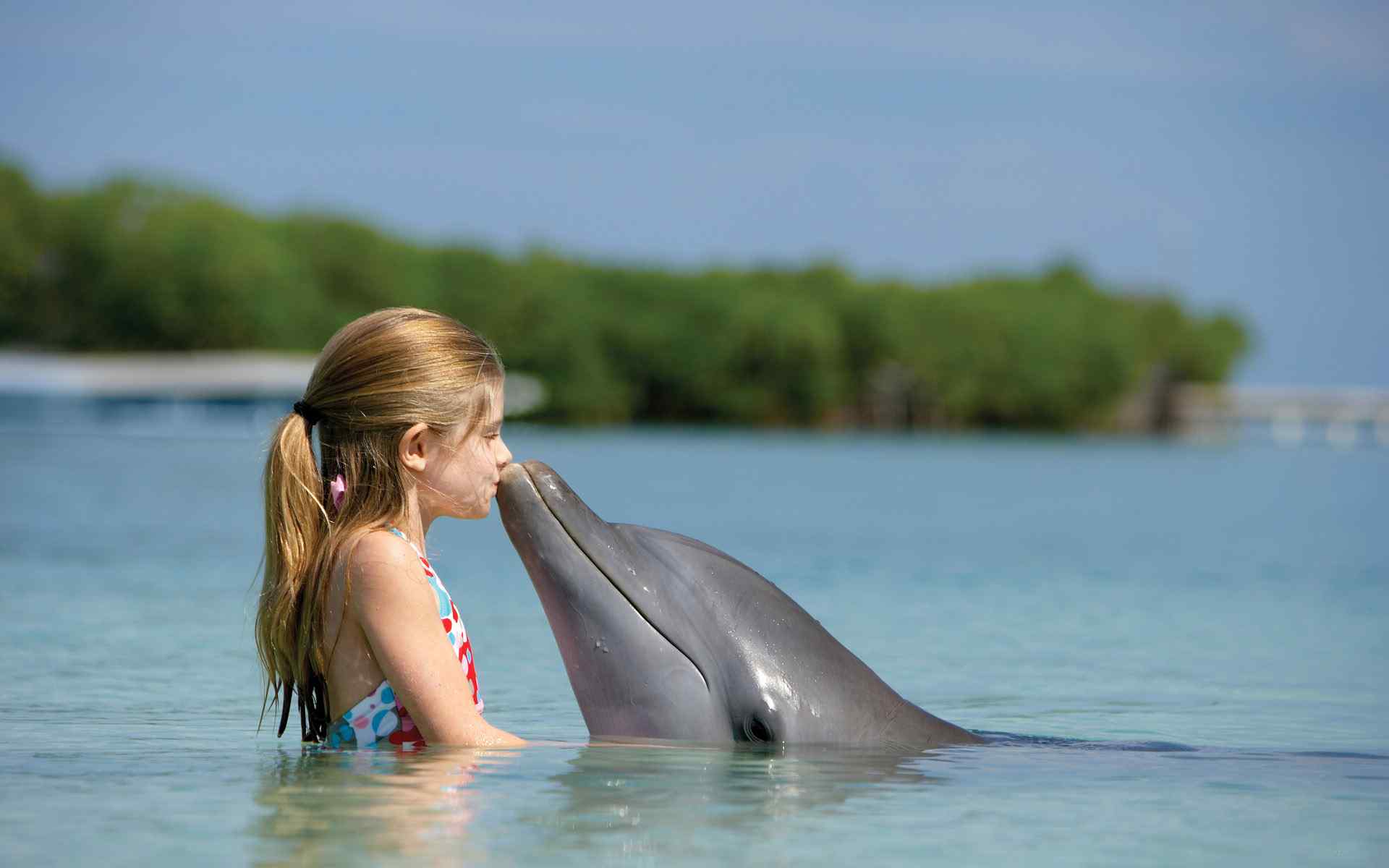 巴哈马群岛风光之海豚之吻高清