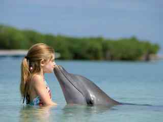 巴哈马群岛风光之海豚之吻高清
