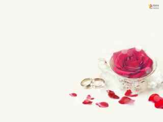 婚礼桌面壁纸之玫瑰花的约定