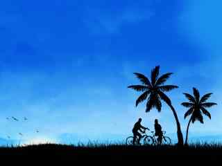 蓝天下的椰树风景
