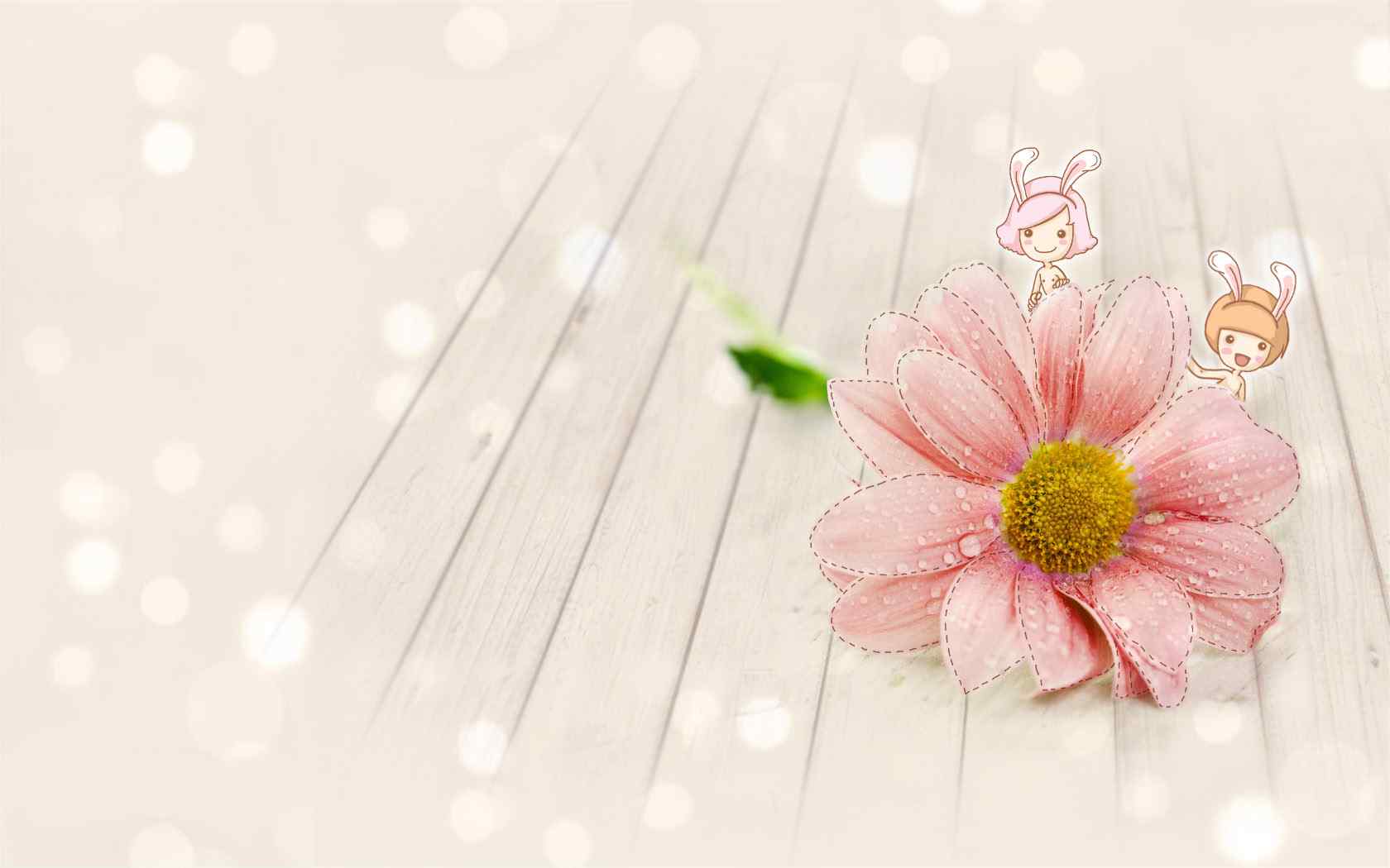 粉色系桌面壁纸之唯美小花