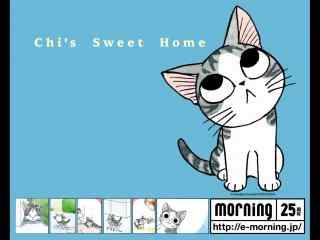 甜甜起司猫壁纸虎斑条纹小猫