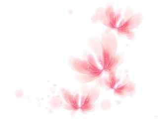 淡雅图片桌面壁纸之粉色小花
