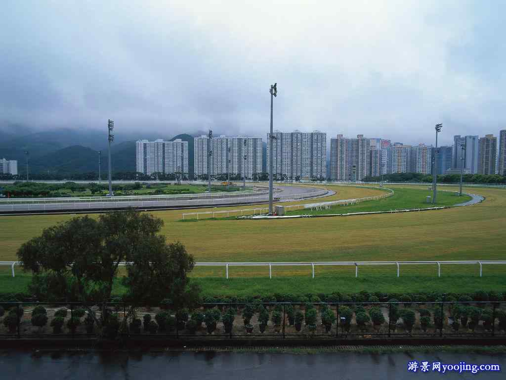 香港赛马场图片桌面壁纸
