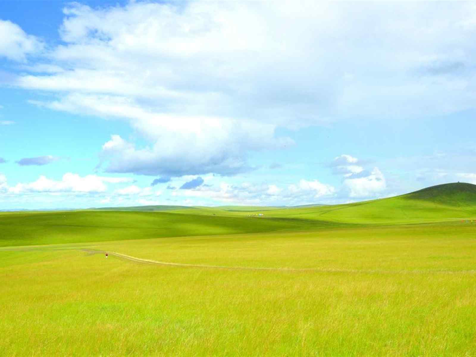 呼伦贝尔草原风景高清电脑桌面壁纸
