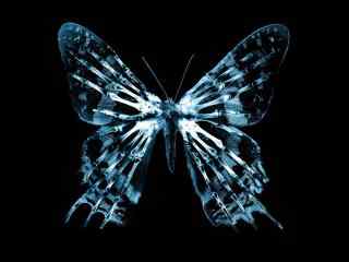 黑暗中蓝色蝴蝶图片桌面壁纸