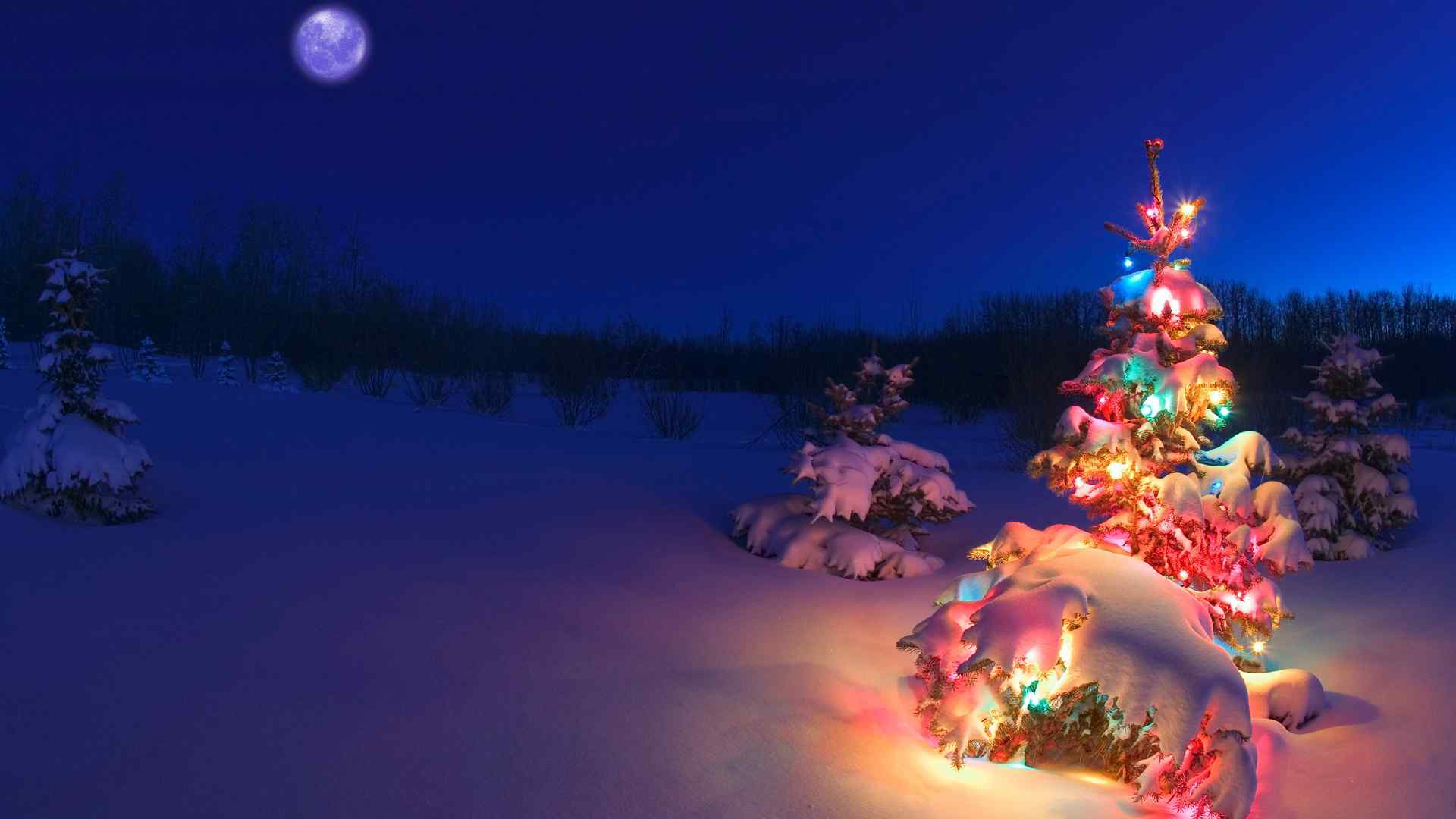 雪地中美丽的圣诞夜高清桌面壁纸