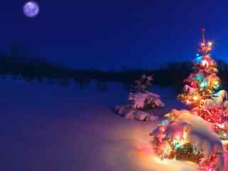 雪地中美丽的圣诞夜高清桌面壁纸
