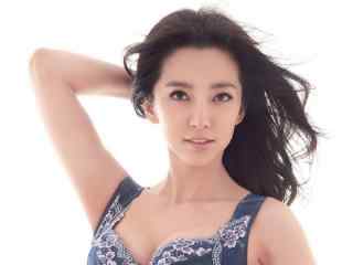 好莱坞最新抢眼亚洲女演员李冰冰桌面壁纸
