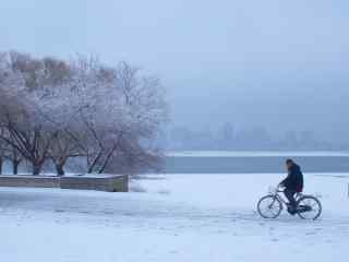 哈尔滨冬天雪景桌面壁纸