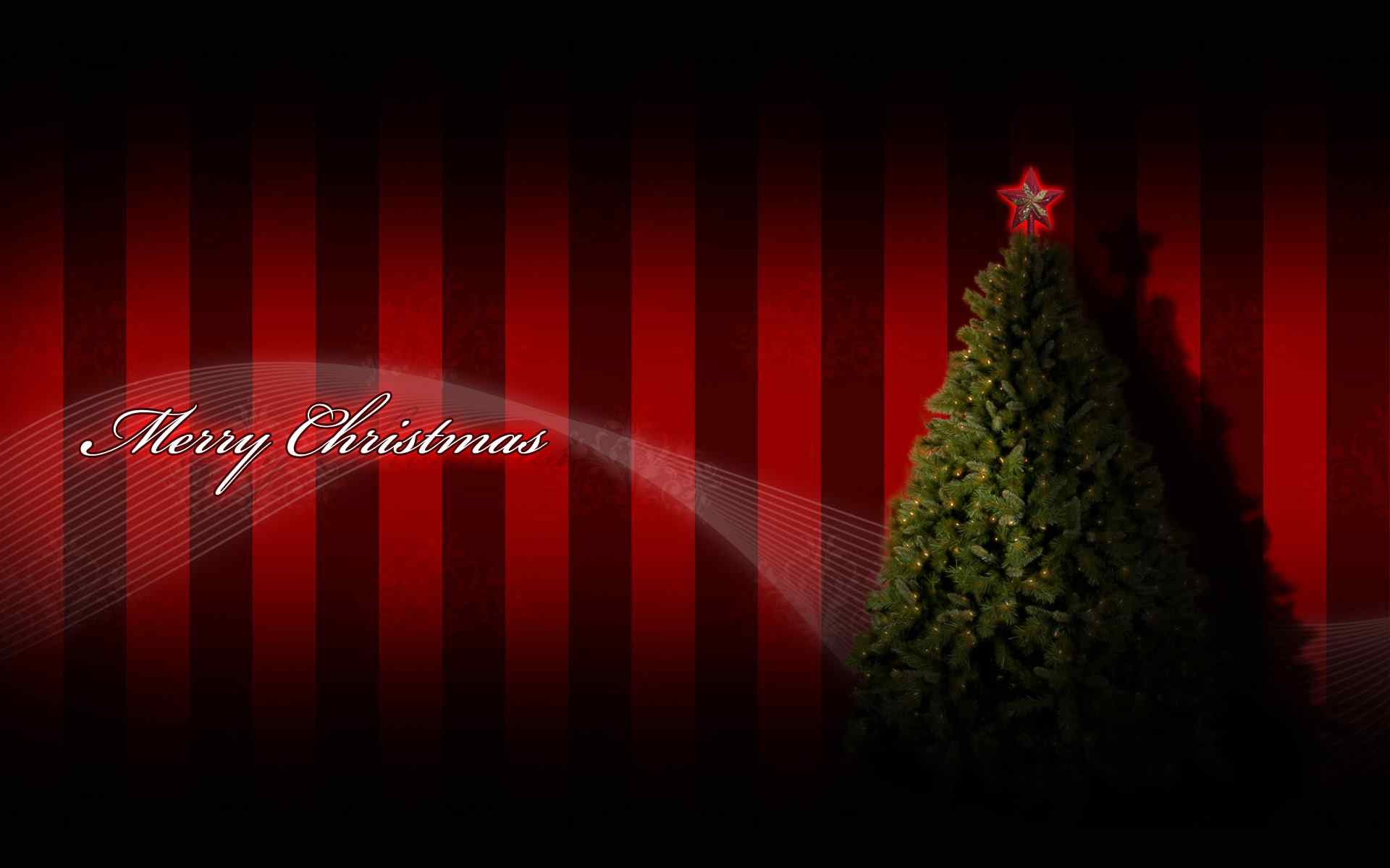 2013年圣诞节唯美好看圣诞树精美主题壁纸