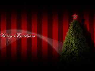 2013年圣诞节唯美好看圣诞树精美主题壁纸