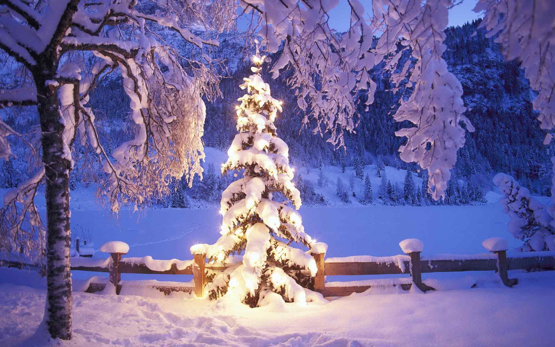 白色圣诞树高清桌面壁纸