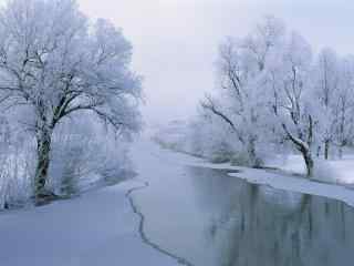 冬季高清自然风光唯美雪景图片壁纸