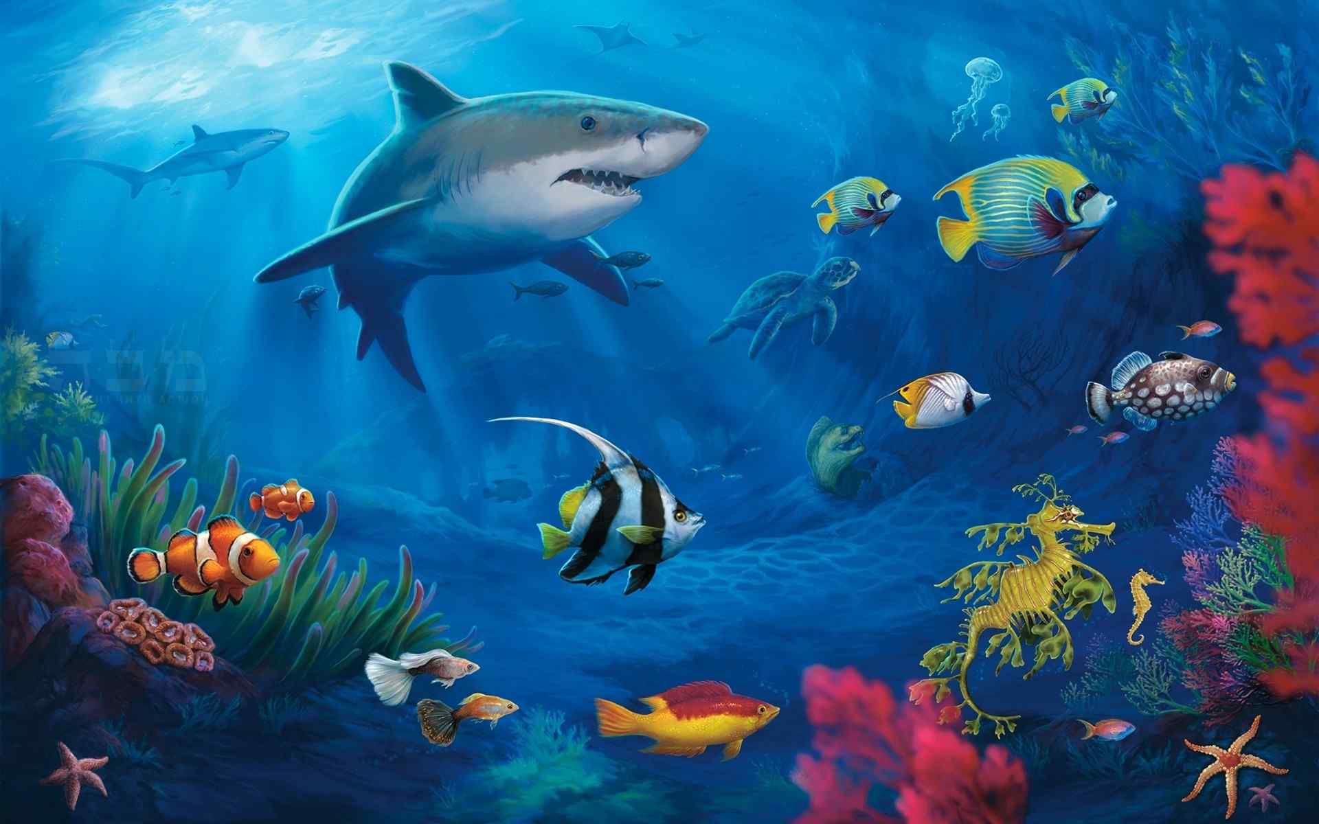 奇幻美丽神秘的海底世界高清图片电脑桌面壁纸  第一辑