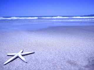 浪漫的海边沙滩美