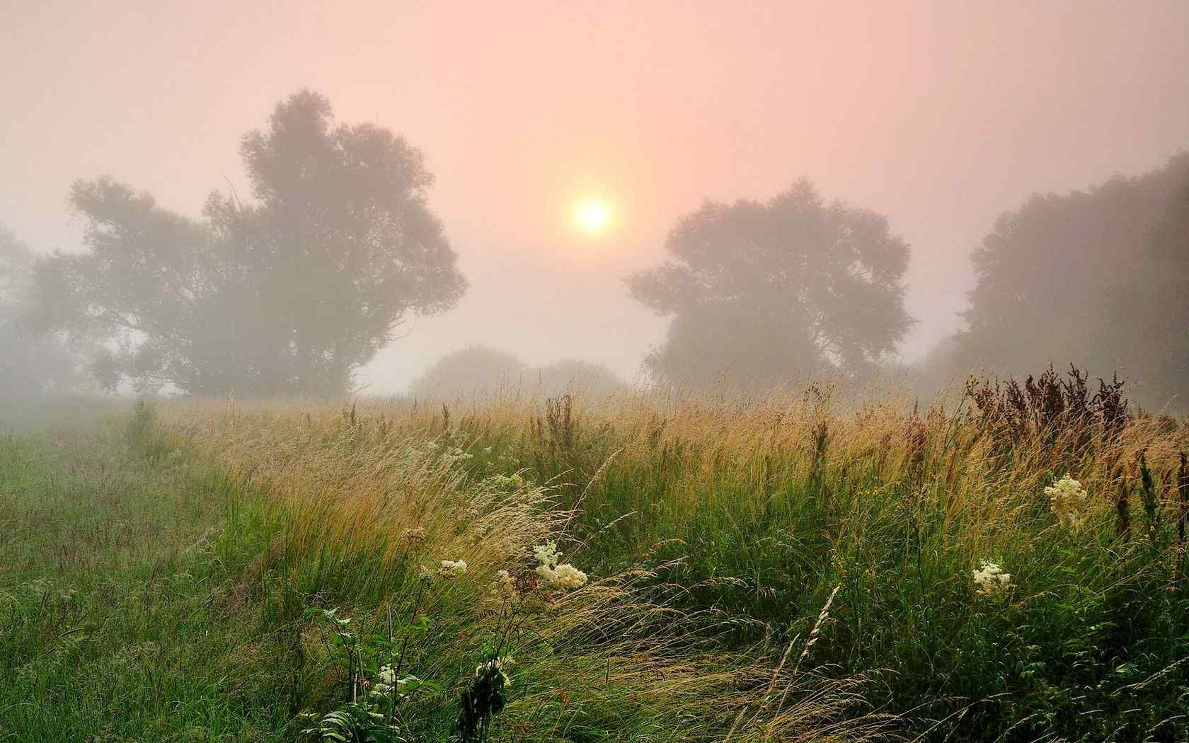 自然清晨的雾漂亮风景win7高清电脑桌面壁纸 第一辑