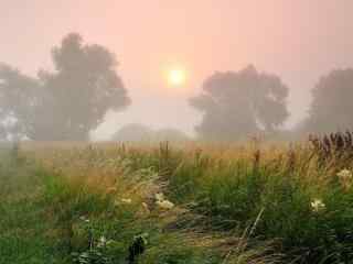 自然清晨的雾漂亮