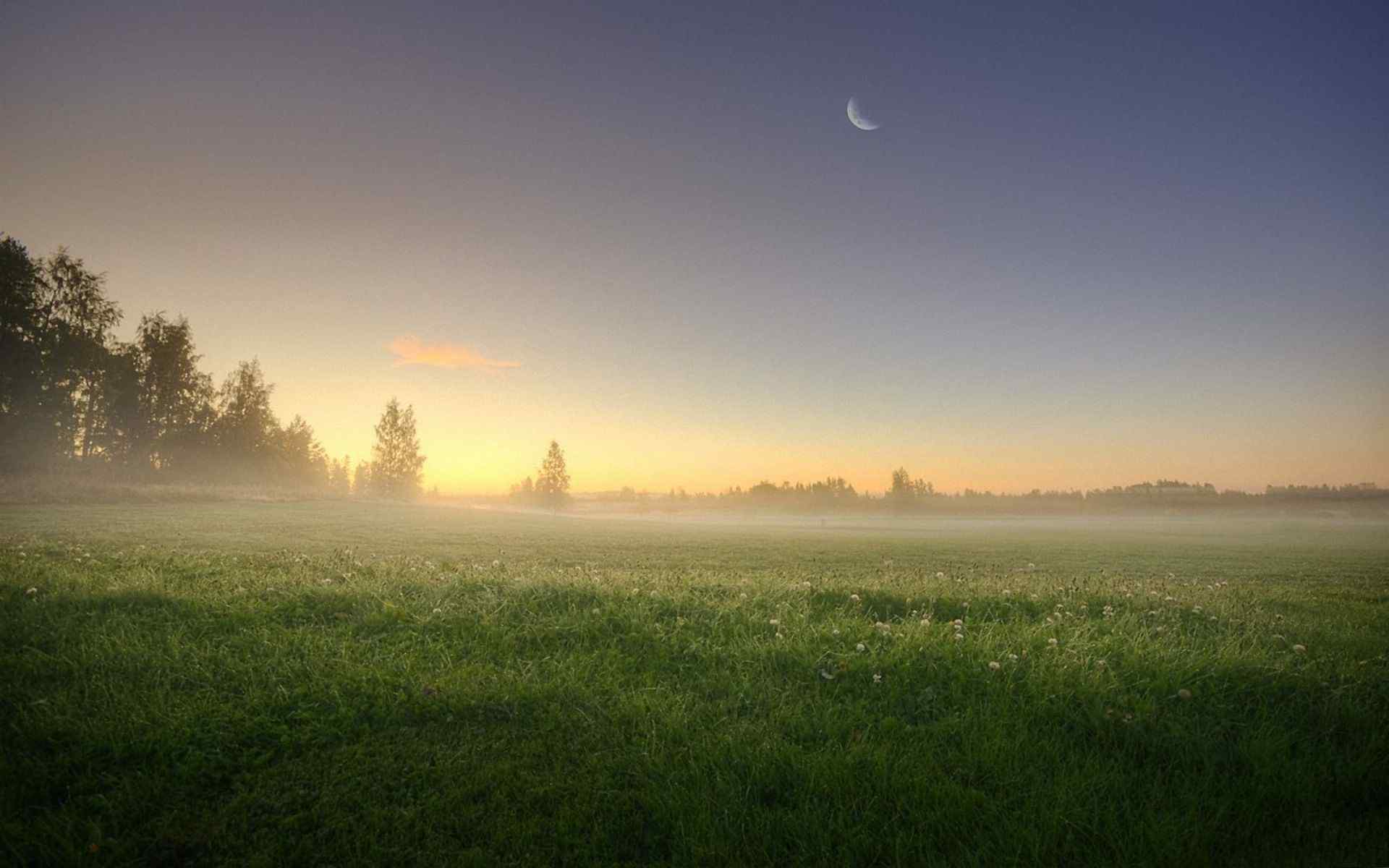 自然清晨的雾漂亮风景win7高清电脑桌面壁纸 第二辑