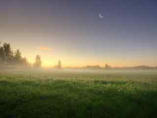 自然清晨的雾漂亮