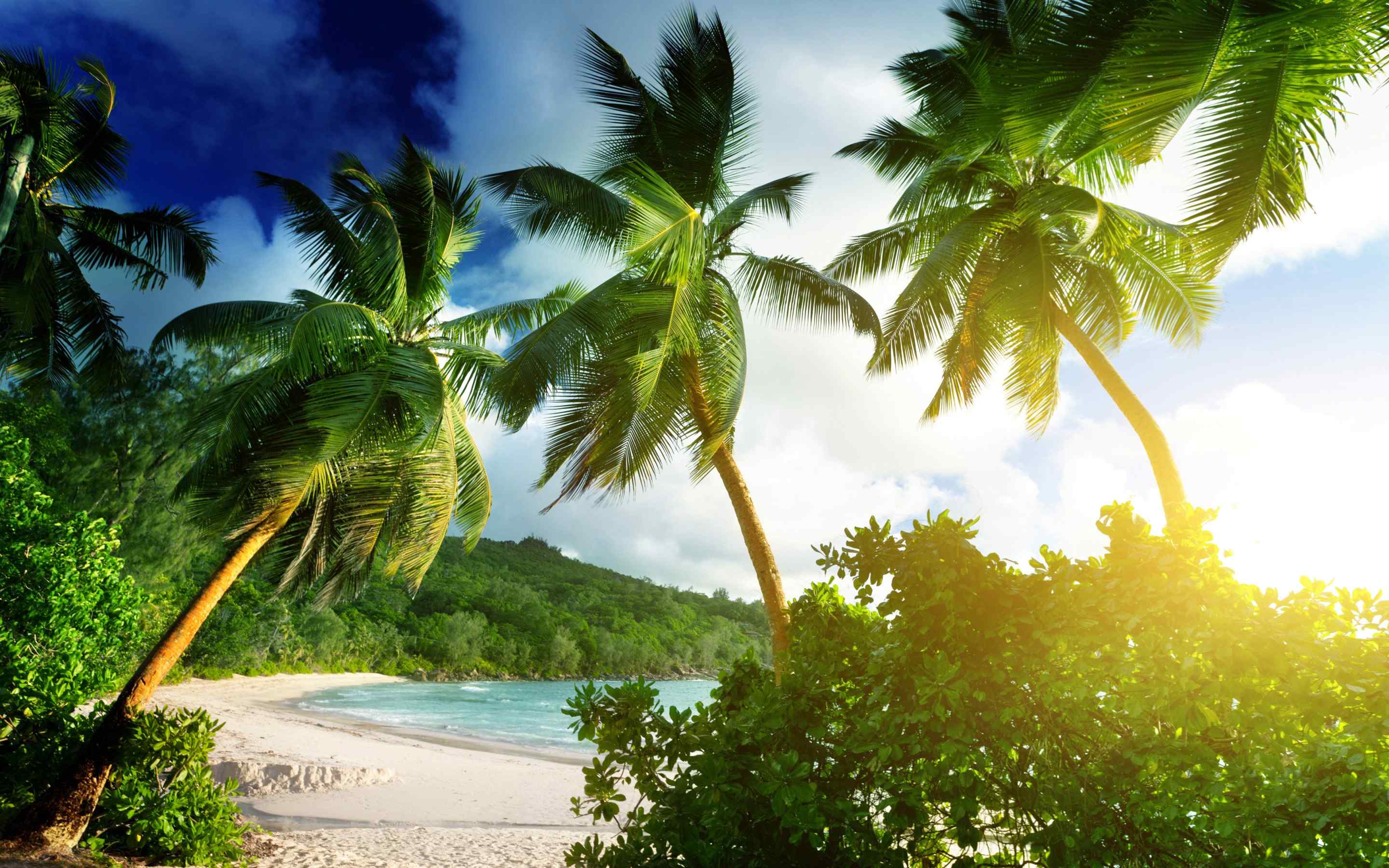 美丽的非洲塞舌尔群岛唯美沙滩高清风景桌面壁纸(二)