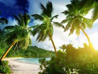 美丽的非洲塞舌尔群岛唯美沙滩高清风景桌面壁纸(二)