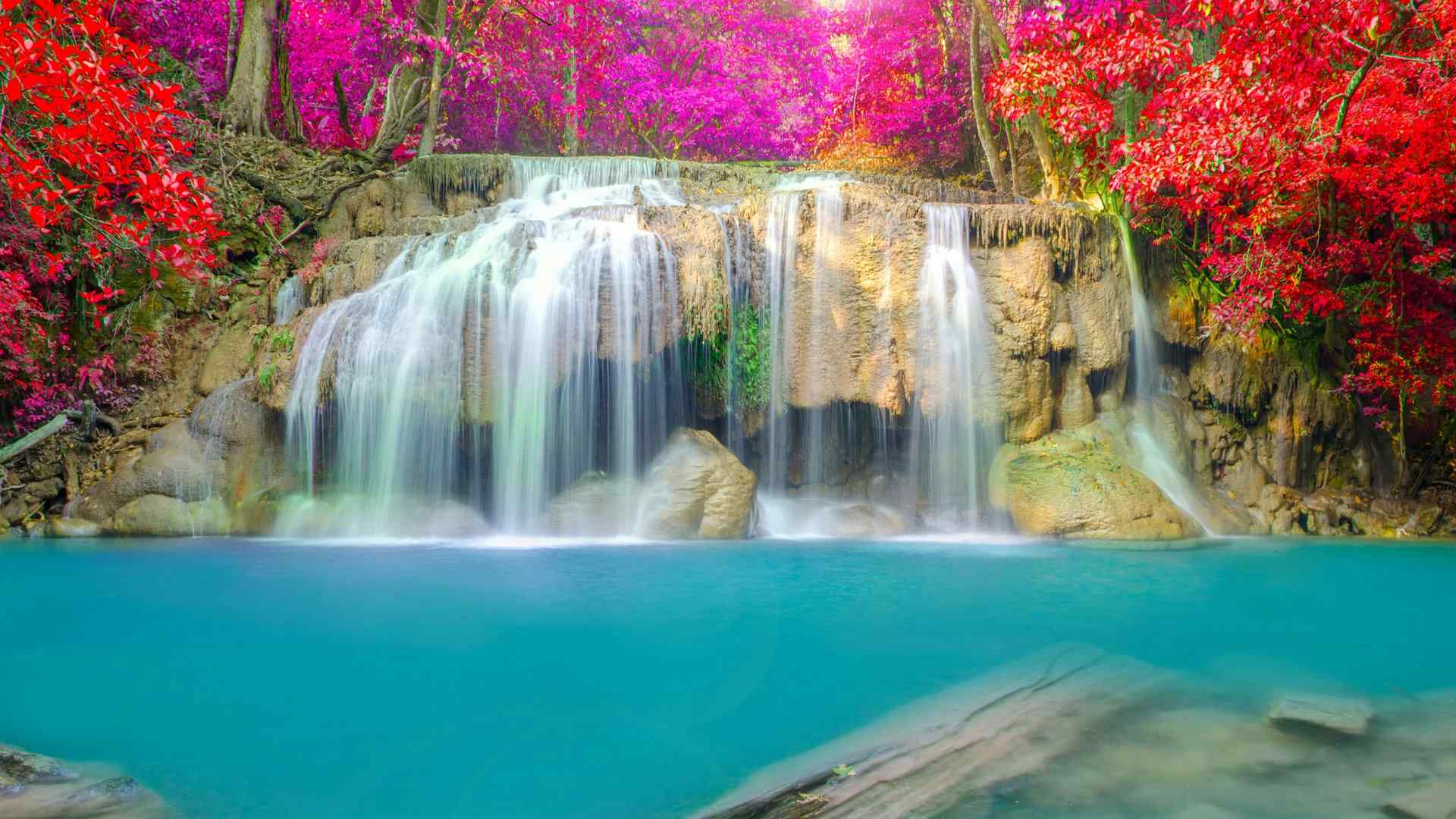 红枫瀑布迷人的风景桌面壁纸