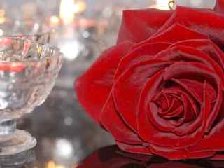 火红的玫瑰花高清桌面壁纸