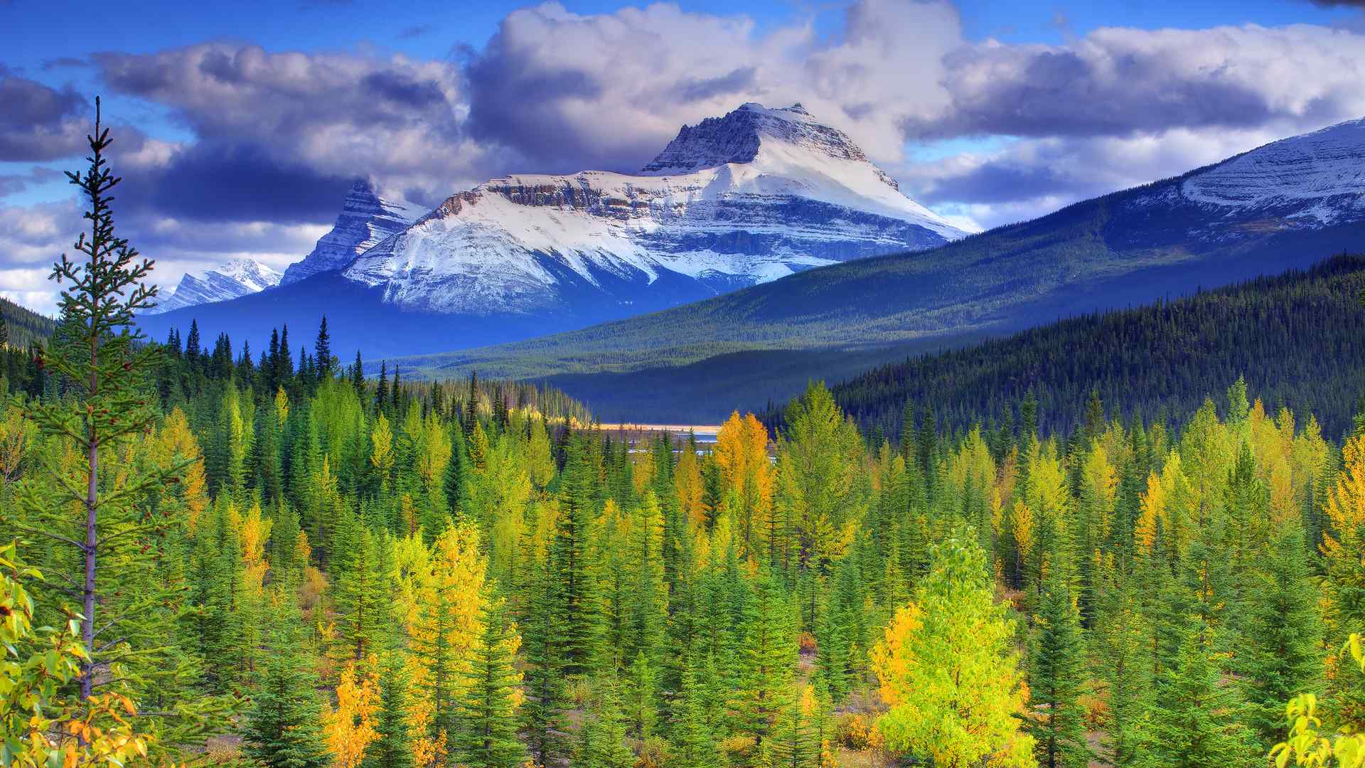 加拿大优美的丛林大山景观壁纸