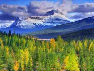 加拿大优美的丛林大山景观壁纸