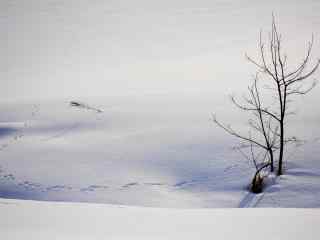 冬日雪景自然风光桌面壁纸
