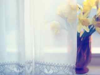 小清新素雅花朵花瓶盆景桌面壁纸
