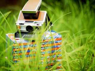 草丛中的 宝丽莱 Polaroid 相机壁纸