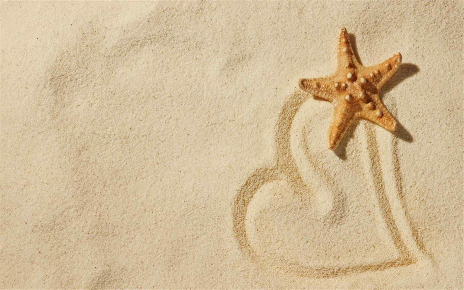 沙滩上的海星壁纸
