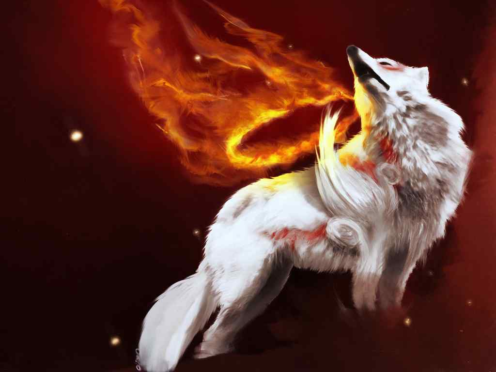 火狐桌面壁纸-White wolf