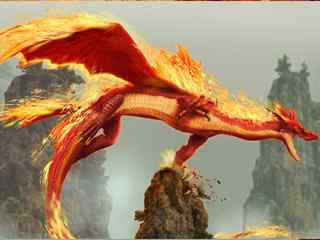 精选火龙壁纸-Fire dragon